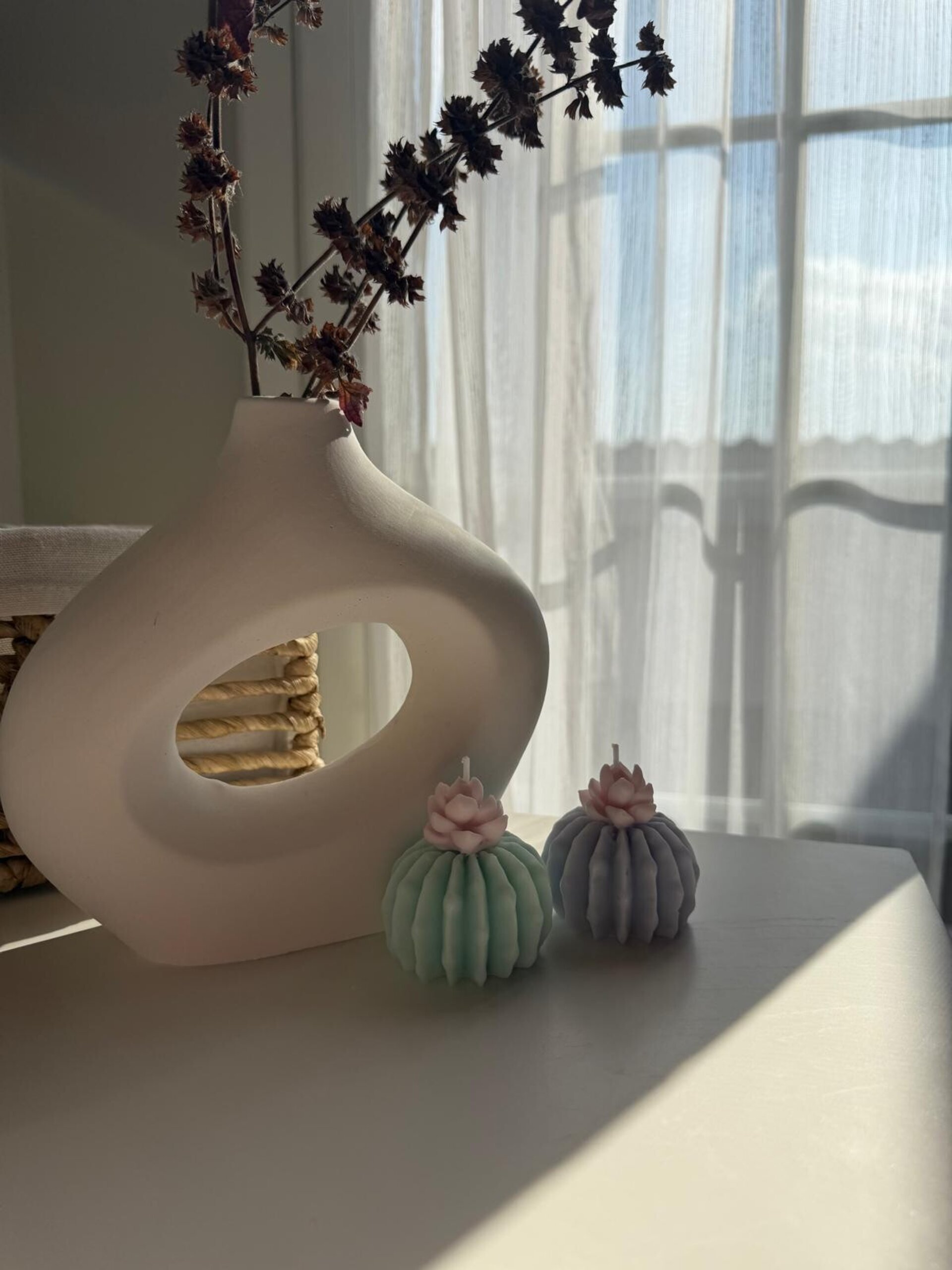 Vela Cactus en Flor - 4
