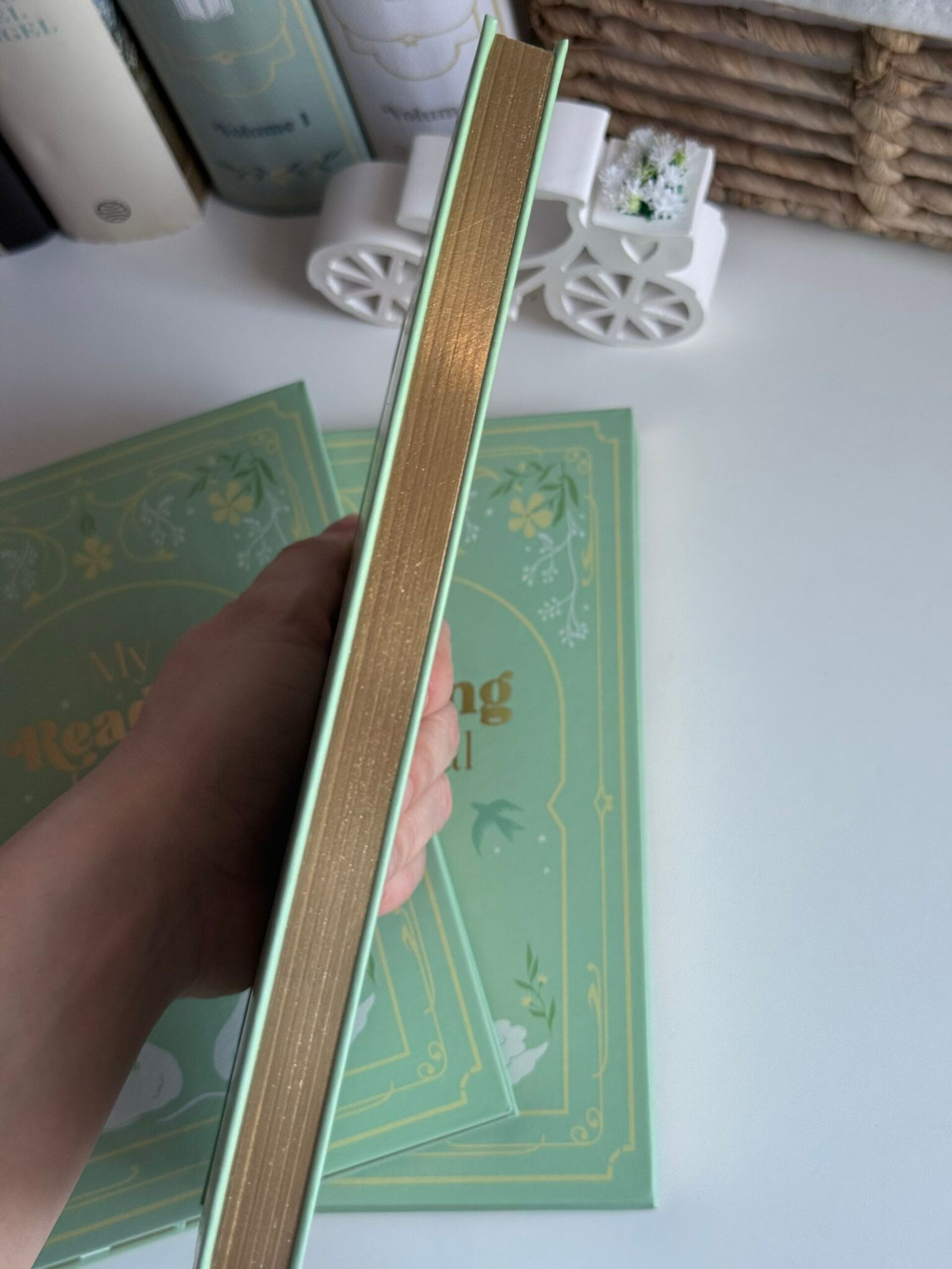 My Reading Journal | Mi diario de lectura A5 - 3