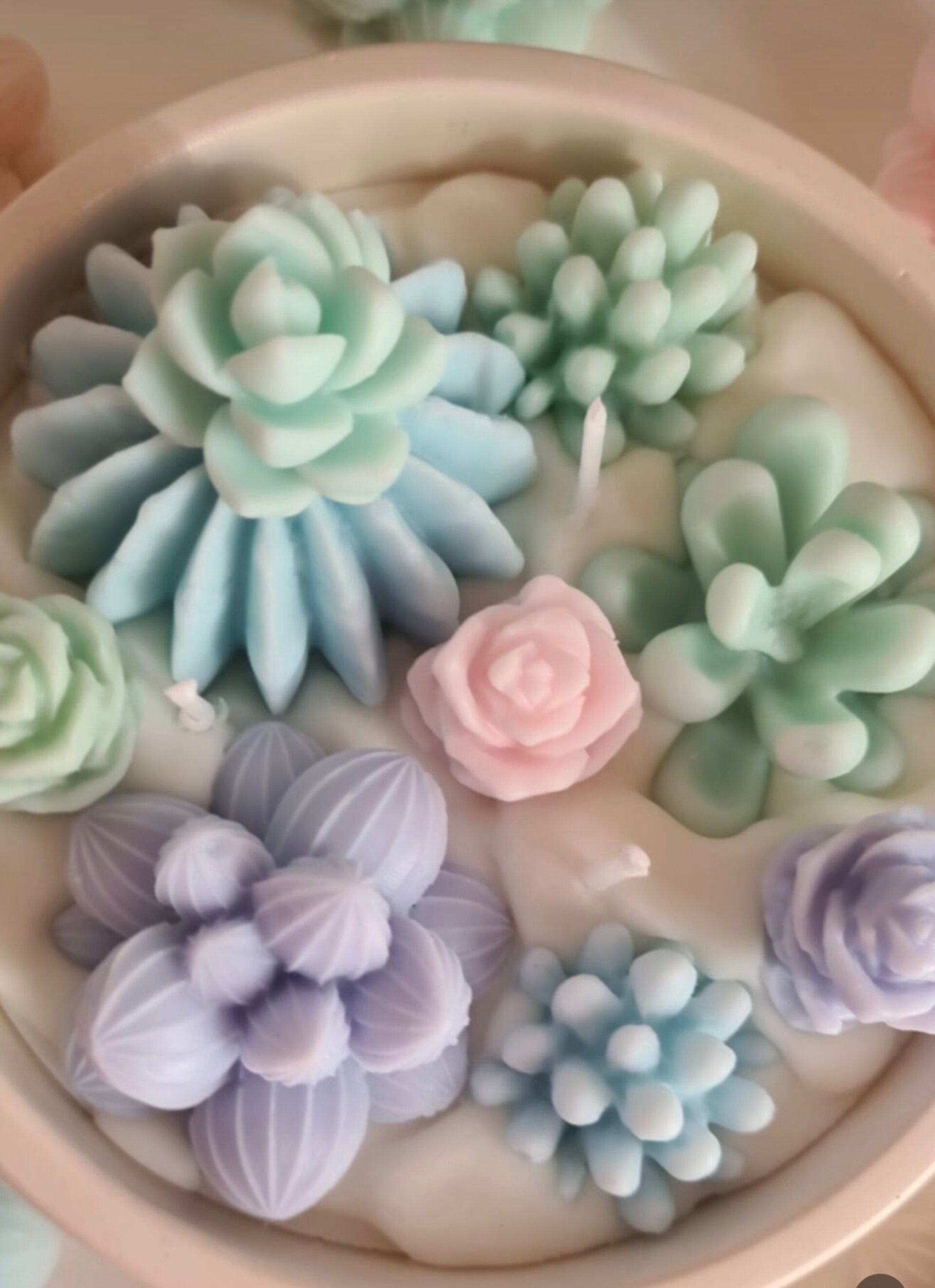 Vela Terrario en Tarro de Escayola – Tonos Pastel y Acabado Artesanal - 4