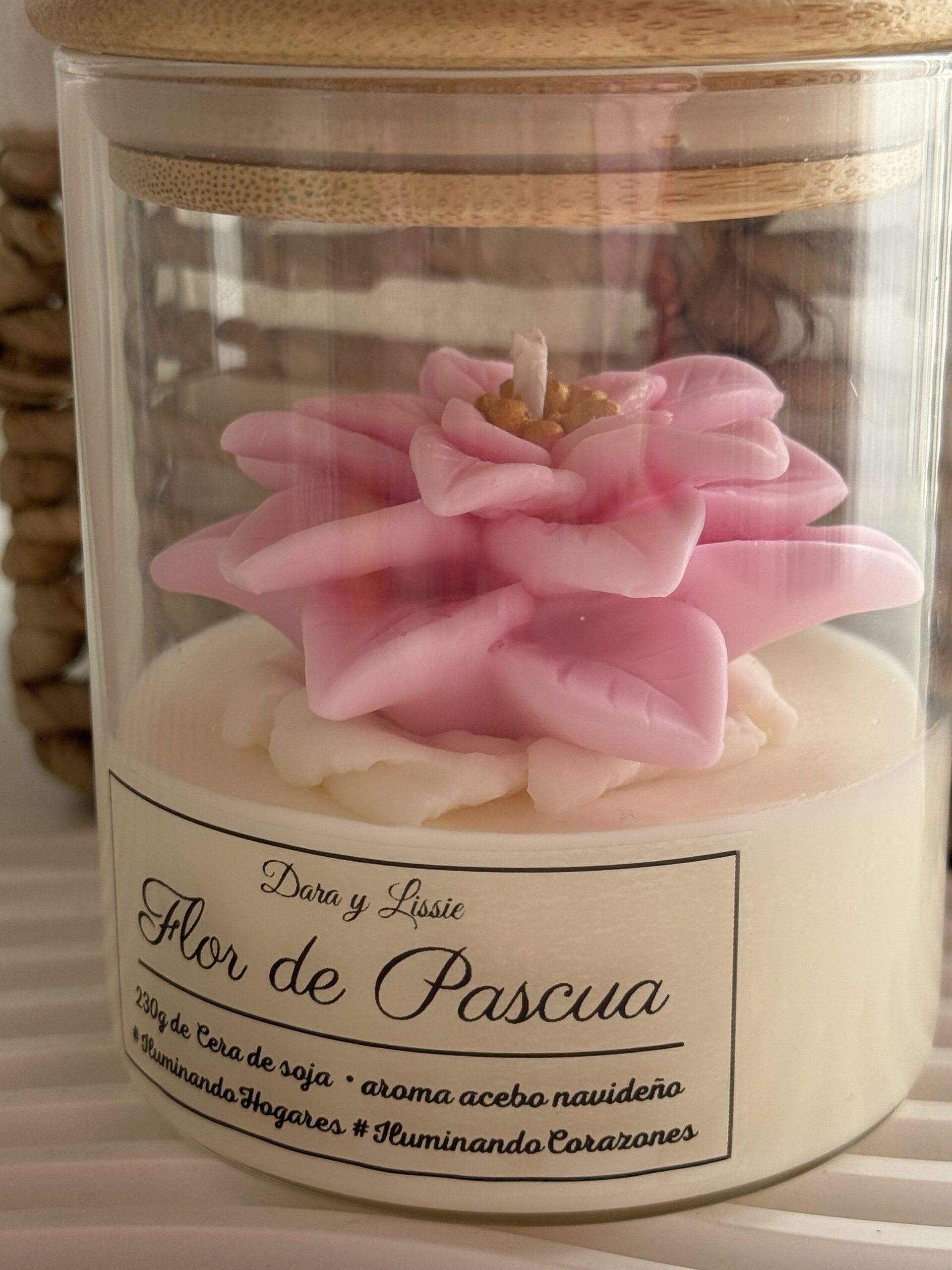 Vela de Navidad Flor de Pascua · Edición Limitada | Aroma Acebo Navideño - 2